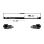 AMORTIGUADOR CAJUELA A4 AUDI 60024