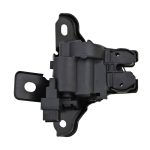 CHAPA DE CAJUELA FIGO FORD 107154