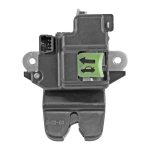 CHAPA DE CAJUELA RIO KIA 107411