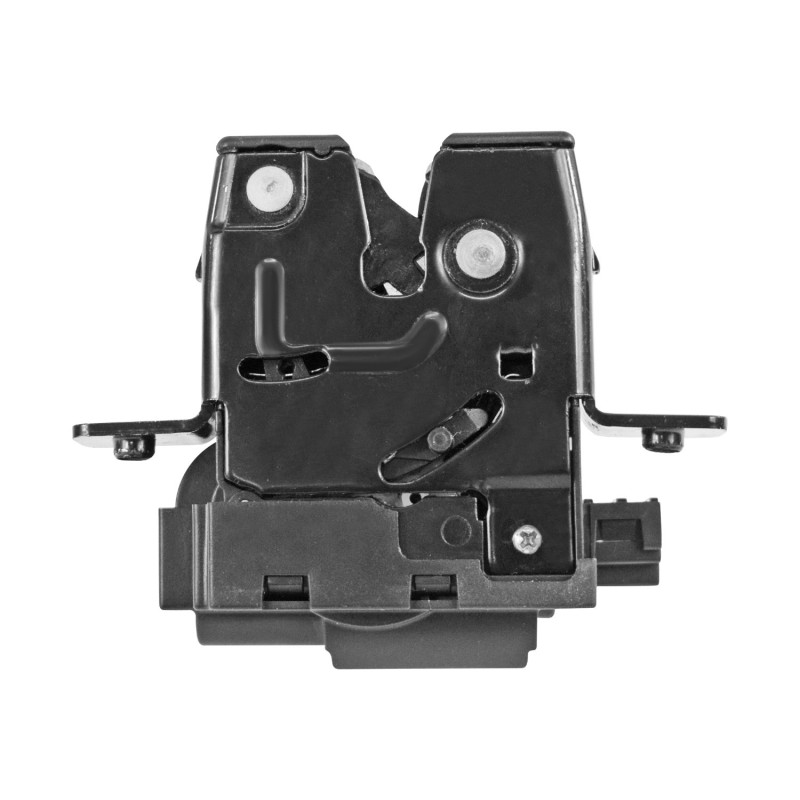 CHAPA DE PUERTA CLIO RENAULT 107395