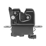 CHAPA DE PUERTA SANDERO RENAULT 107891